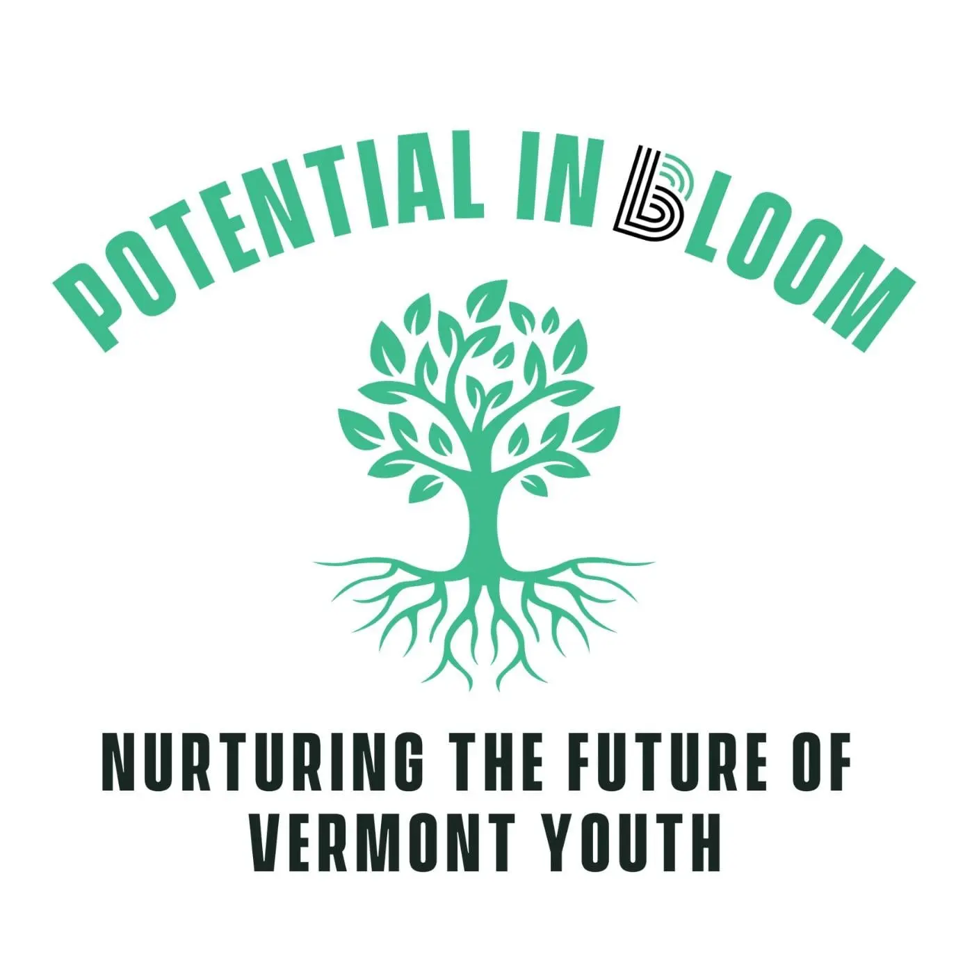 Stiletto Sprint Big Brother Big Sister New Hampshire and Vermont